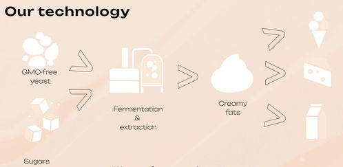 瑞士Cultivated Biosciences 酵母造奶油脂肪，让植物基乳制品拥有真正的“奶油味”